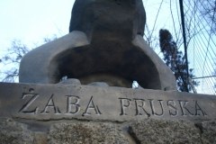 Olsztyńska żaba znów w centrum uwagi