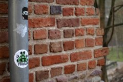 Olsztyńska żaba znów w centrum uwagi