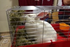 Olsztyński uniwersytet kusi przyszłych studentów