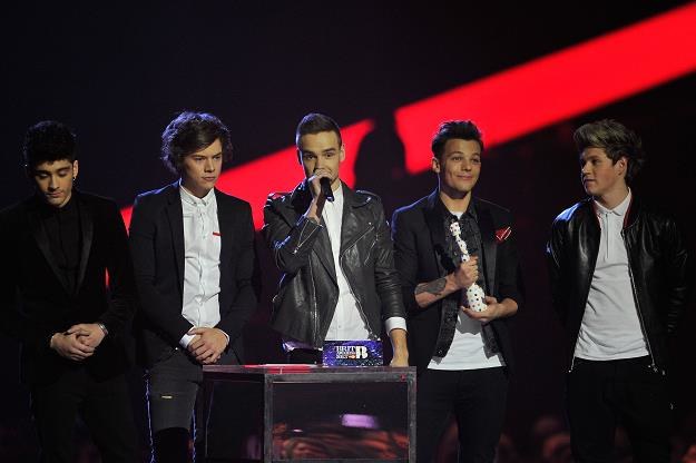 One Direction zarobili po 5 milionów funtów fot. Matt Kent /Getty Images/Flash Press Media