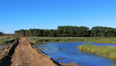 Onet: Ciężki sprzęt na terenie przekopu Mierzei Wiślanej. Urzędnicy mówią o "wyjęciu trzcin" 