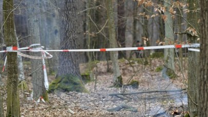 Onet: Wszyscy piloci utracili uprawnienia do latania na myśliwcach MiG-29 