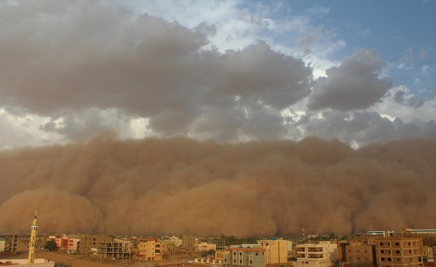 ​ONZ ostrzega przed globalnym zagrożeniem. Ziści się czarny filmowy scenariusz?