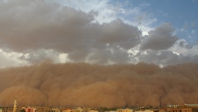 ​ONZ ostrzega przed globalnym zagrożeniem. Ziści się czarny filmowy scenariusz?