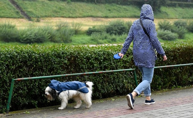 Opady deszczu, ale wciąż bardzo ciepło [POGODA NA NIEDZIELĘ]