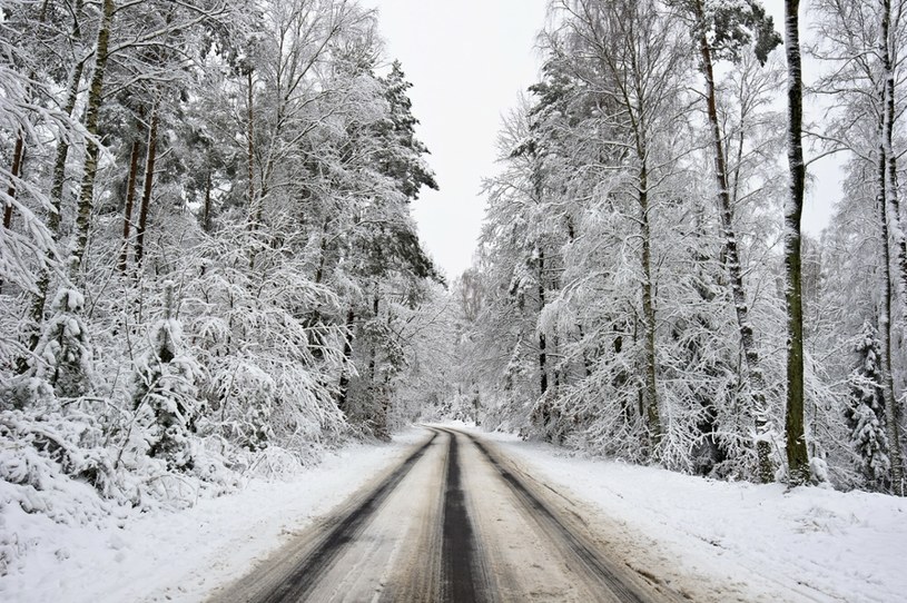 Opady śniegu na Kaszubach /Stanislaw Bielski /Reporter