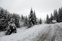 Opady śniegu na Podhalu