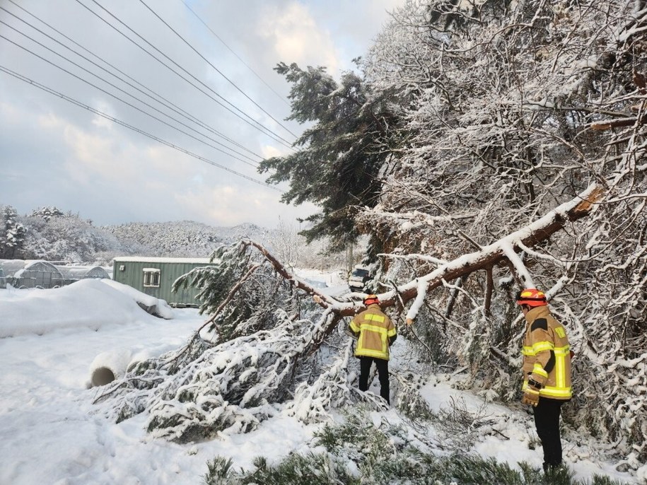 Opady śniegu sparaliżowały Koreę Południową /PAP/EPA/Jinan Fire Service /PAP/EPA