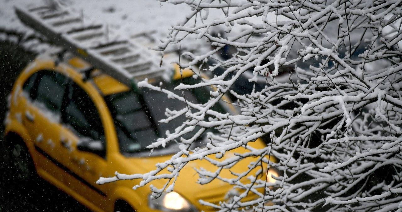 Opady śniegu w Przemyślu /Darek Delmanowicz /PAP