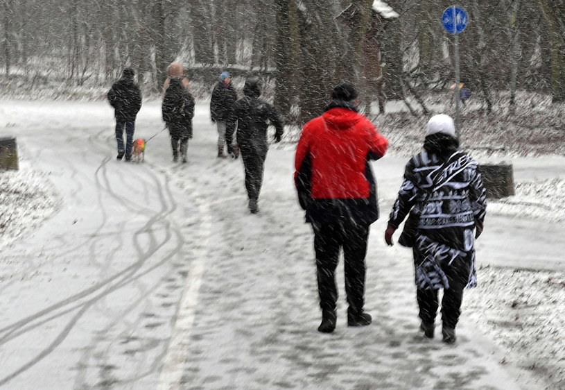Opady śniegu w Szczecinie / 	Marcin Bielecki    /PAP