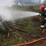 Opanowano pożar lasu w mazowieckim Lipsku