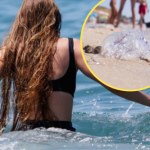 Oparzenia tych meduz są najgroźniejsze. Omijaj na plaży i w wodzie 