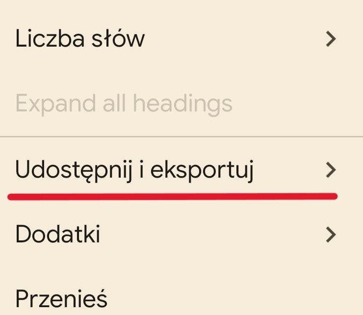 Opcja "drukuj" wyświetli się często po wyborze takiej (lub podobnej) zakładki. Tutaj interfejs aplikacji Dokumenty Google. /Dokumenty Google /INTERIA.PL