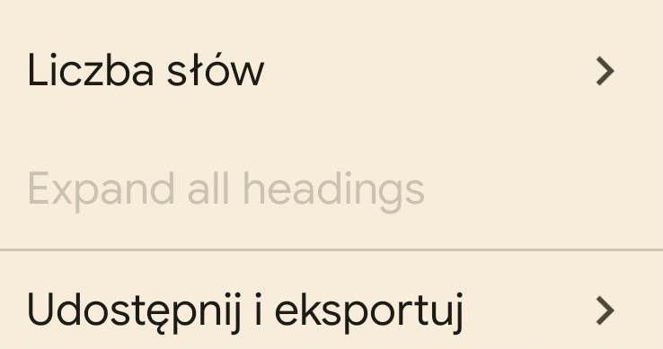 Opcja "drukuj" wyświetli się często po wyborze takiej (lub podobnej) zakładki. Tutaj interfejs aplikacji Dokumenty Google. /Dokumenty Google /INTERIA.PL