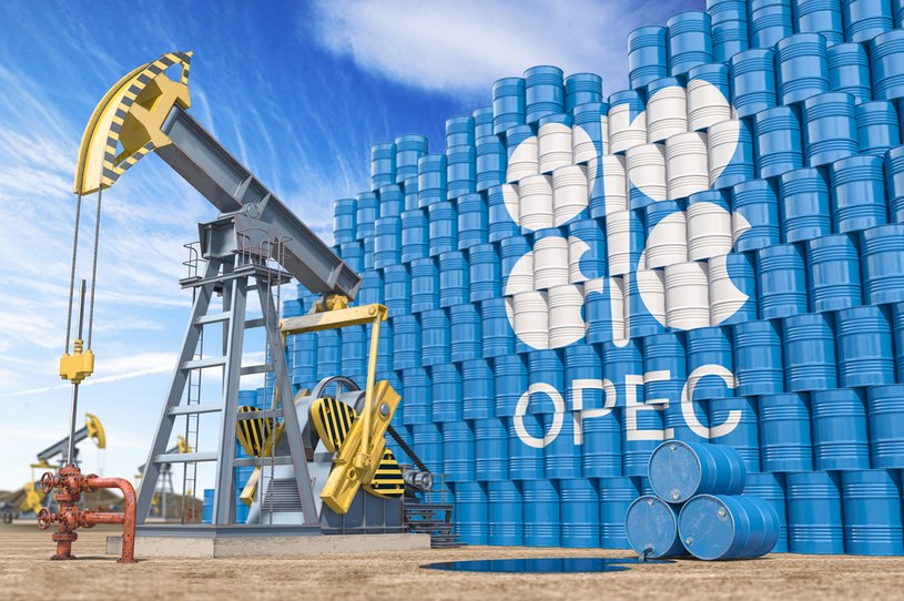OPEC+ będzie zmieniał limity wydobycia? /123RF/PICSEL