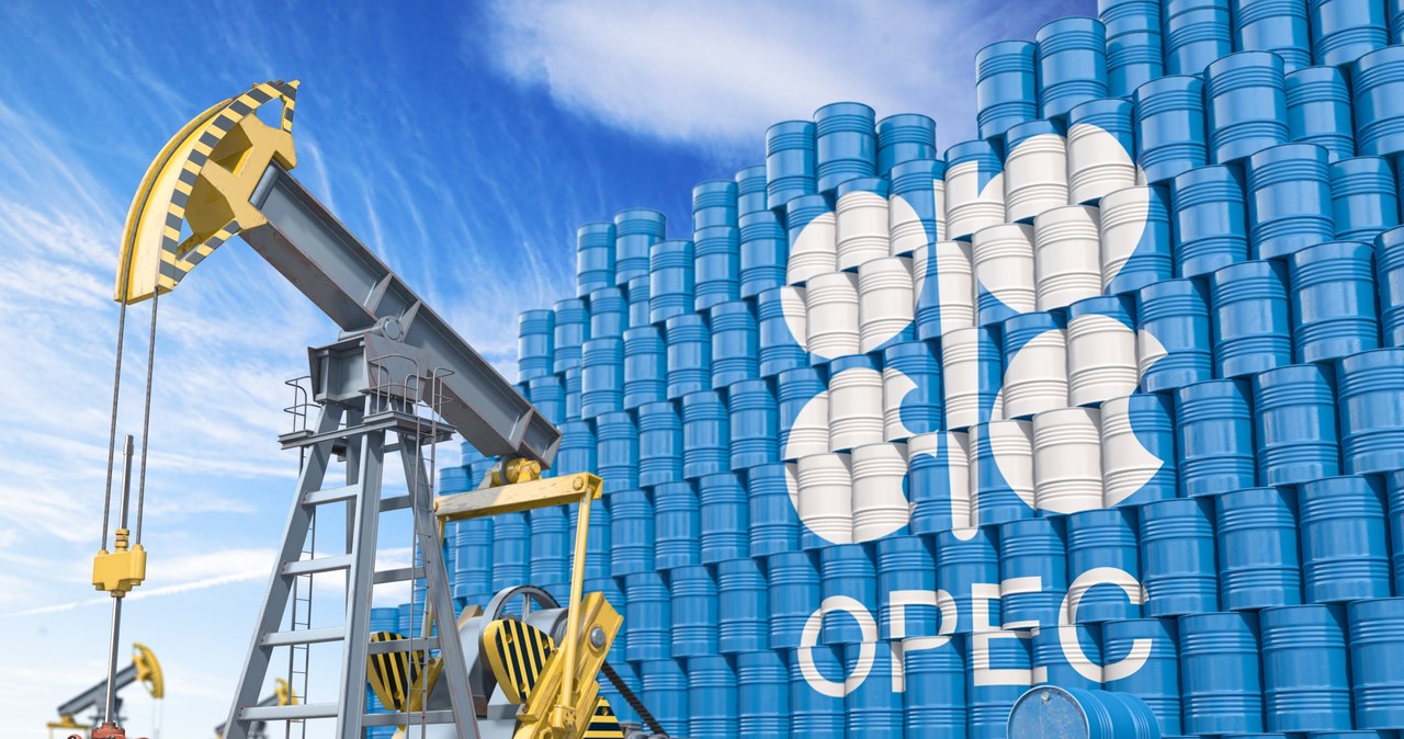 OPEC+ będzie zmieniał limity wydobycia? /123RF/PICSEL