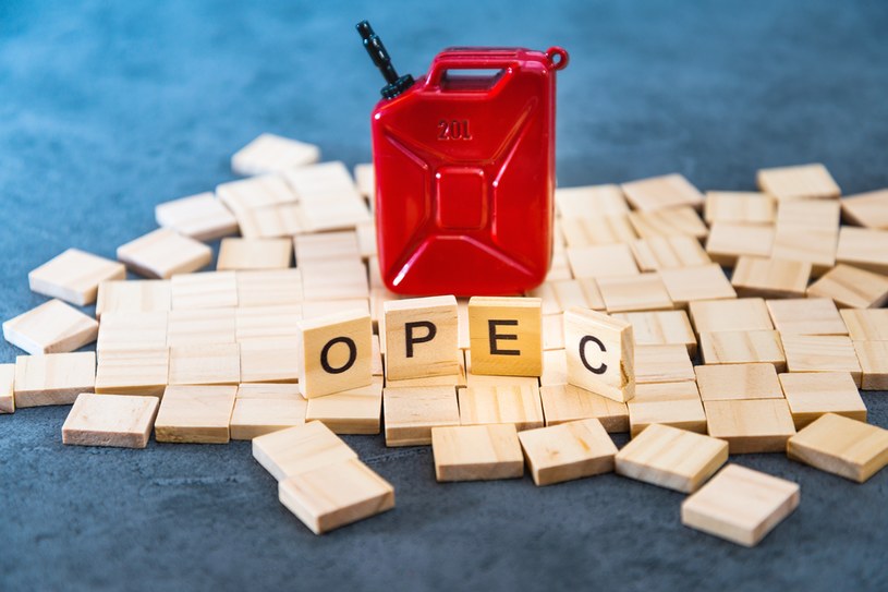 OPEC kluczowy dla cen ropy /123RF/PICSEL