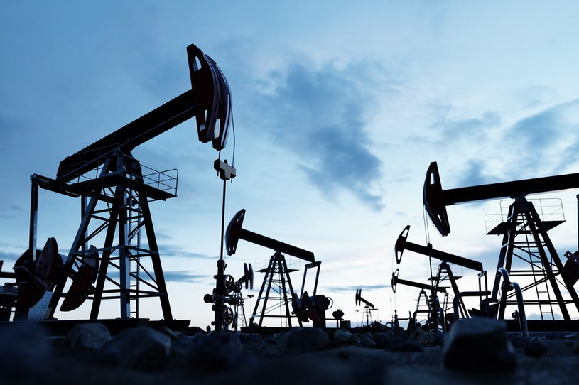 OPEC+ może zdecydować o zmniejszeniu wydobycia ropy o kolejne 2 mln baryłek dziennie /123RF/PICSEL