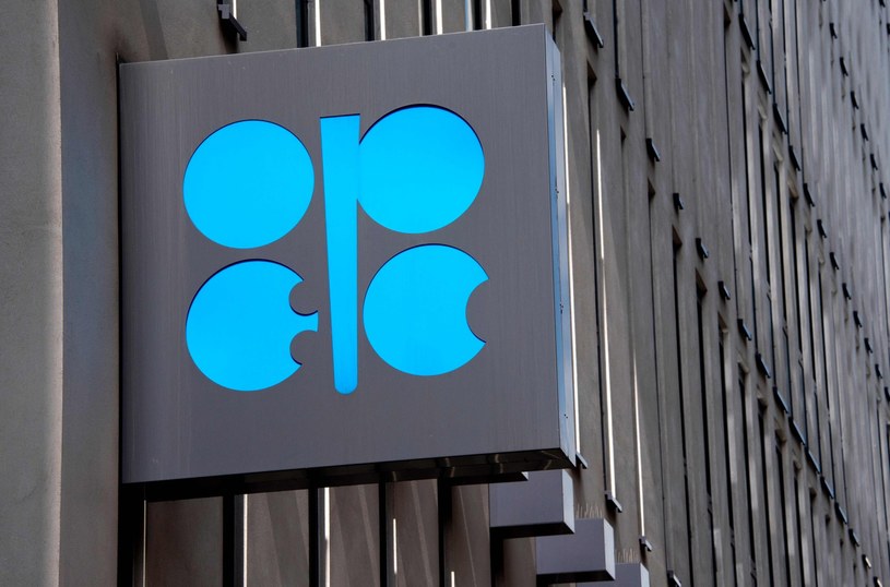 OPEC o popycie na ropę /AFP