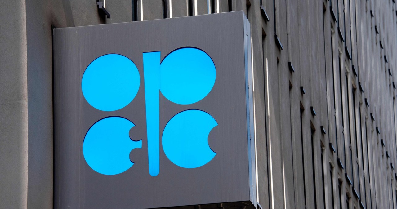 OPEC o popycie na ropę /AFP