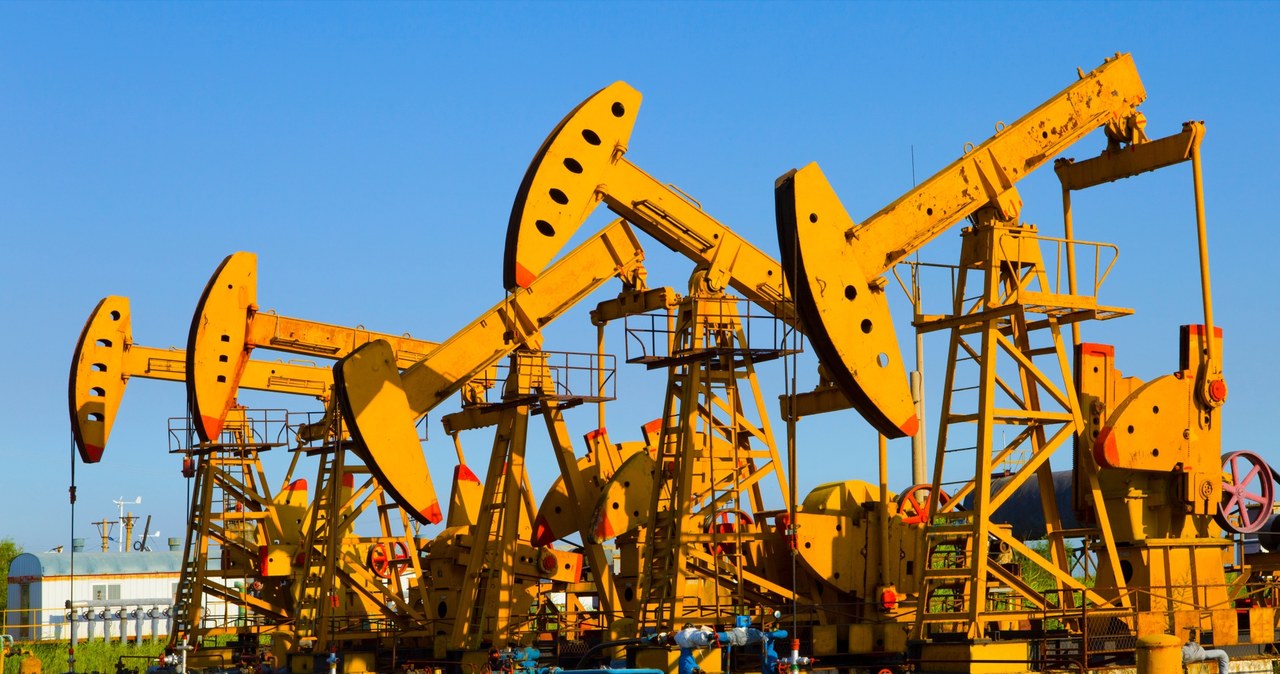 OPEC+ ogranicza wydobycie ropy naftowej (zdj. ilustracyjne) /123RF/PICSEL