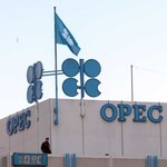 OPEC topi nadzieje na tanią ropę