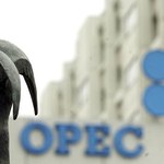 OPEC: Wyciągną bilion nie tylko z naszych kieszeni?
