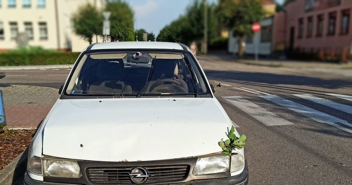 Opel Astra był w ciężkim stanie. Trzymał się gorzej od kierowcy /Mazowiecka Policja /Policja