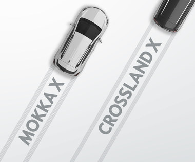 Opel Crossland X. Nowy niewielki crossover