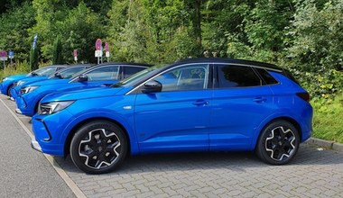 Opel Grandland - jeździmy mocno zmodernizowanym SUVem