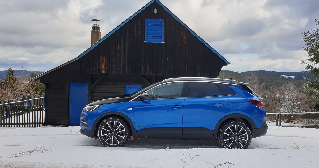 Opel Grandland X Hybrid4 /INTERIA.PL