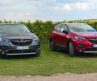 Opel Grandland X: modelowy atak w segmencie