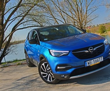 Opel Grandland X - typ uniwersalny