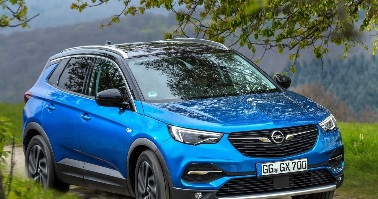 Opel Grandland X /Informacja prasowa