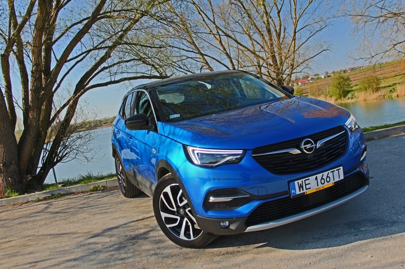 Opel Grandland X /INTERIA.PL
