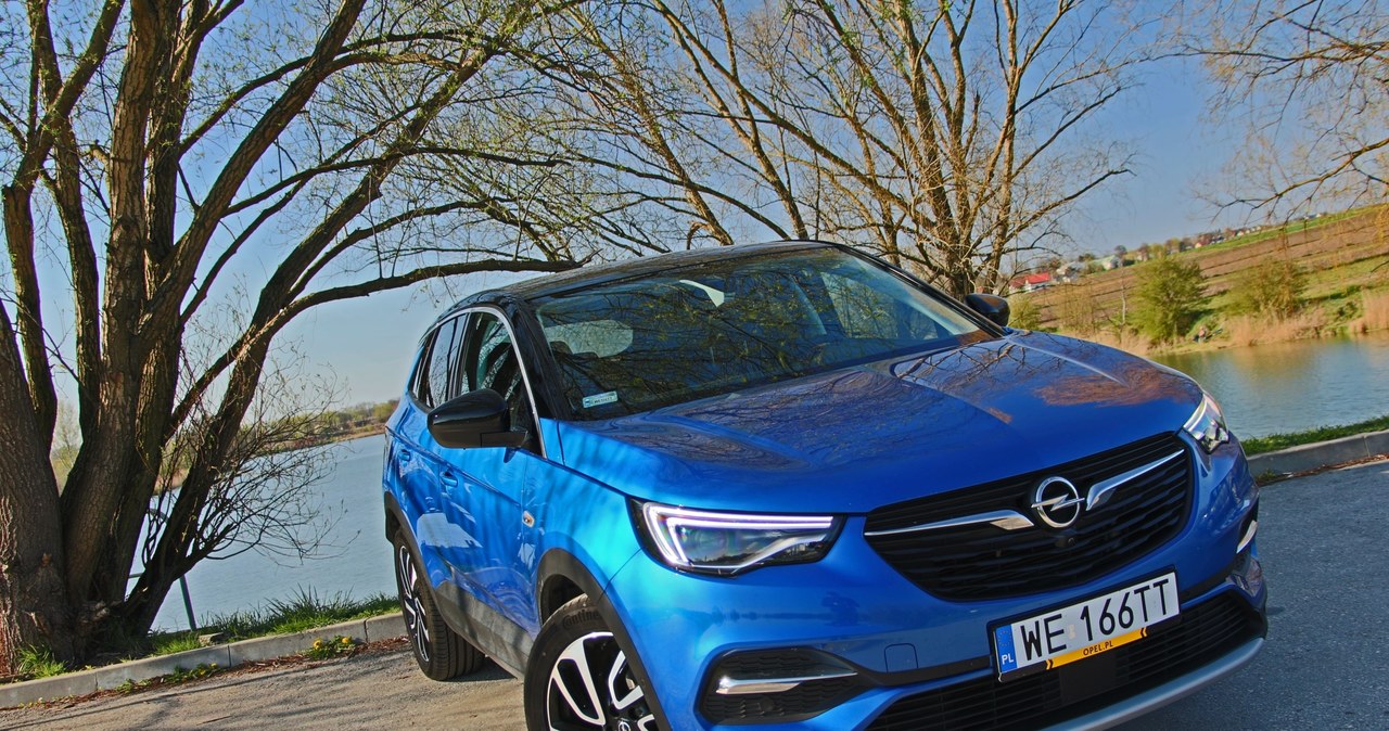 Opel Grandland X /INTERIA.PL