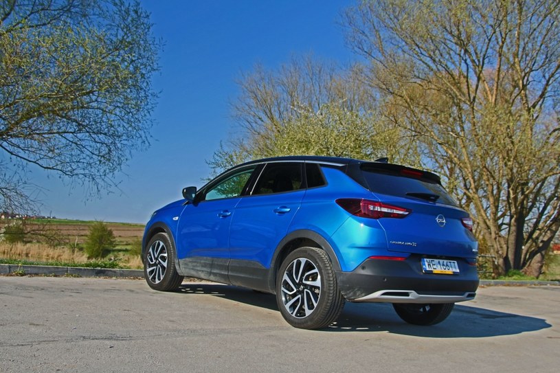 Opel Grandland X /INTERIA.PL