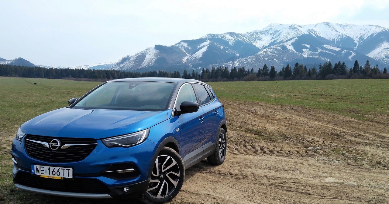 Opel Grandland X /INTERIA.PL