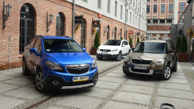 Opel to tegoroczny debiutant, Skoda na rynku pojawiła się 3 lata temu, a Nissan – w 2007 r. /Motor
