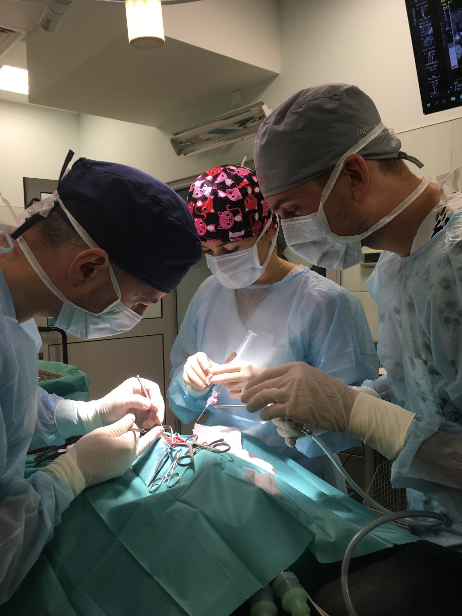 Operacja Juliana /Rzecznik UPWr  /Materiały prasowe