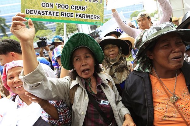 Operacja policji przeciwko demonstrantom, masowe aresztowania /NARONG SANGNAK    /PAP/EPA