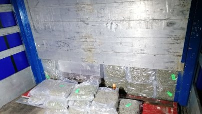 Operacja "Przebudzenie mocy". Przejęto narkotyki warte ok. 90 mln. zł 