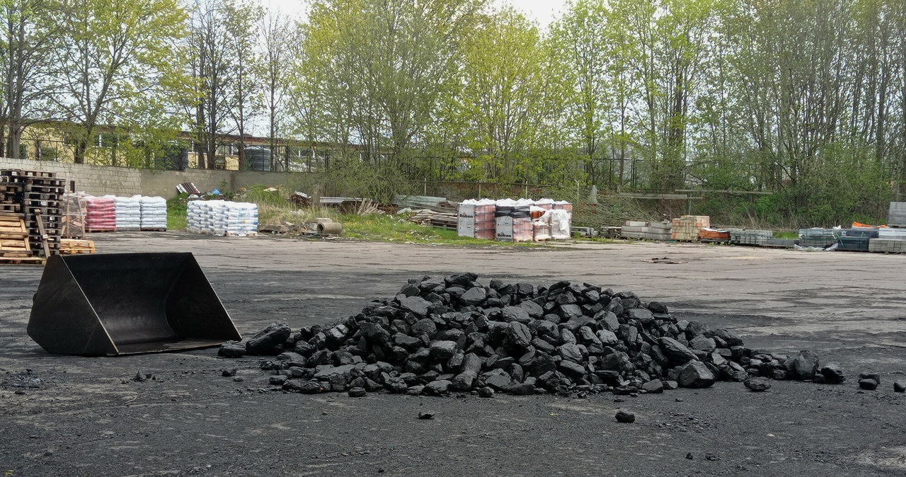 Operatorzy ostrzegają przed zimowym niedoborem węgla (zdj. ilustracyjne) /Hubert Hardy /Reporter