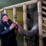 Opieka nad zwierzętami mimo wojny. Tak to wygląda w zoo w Kijowie