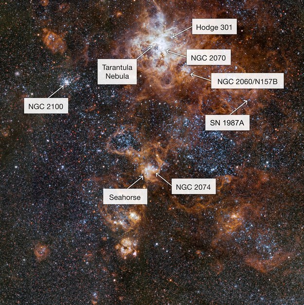 Opis obiektów widocznych na zdjęciu Wielkiego Obłoku Magellana /ESO /Materiały prasowe