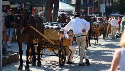 Opłata miejscowa znów w Zakopanem. Ile wynosi? 