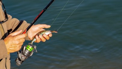 Opolskie: 60-letni wędkarz utonął w stawie