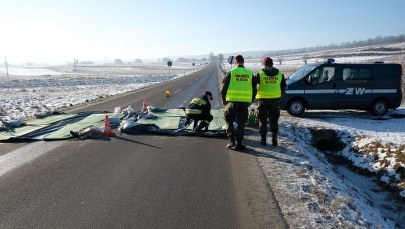 Opolskie: Wykryto kolejne ognisko ptasiej grypy