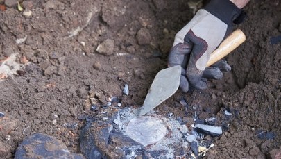 Opolszczyzna: Znaleziono ludzie szczątki. To najprawdopodobniej żołnierz zamordowany przez UB