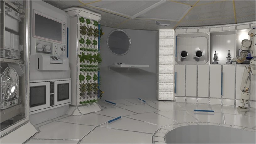 Opracowana przez NASA artystyczna interpretacja modułu w przewidywanym kosmicznym habitacie /NASA